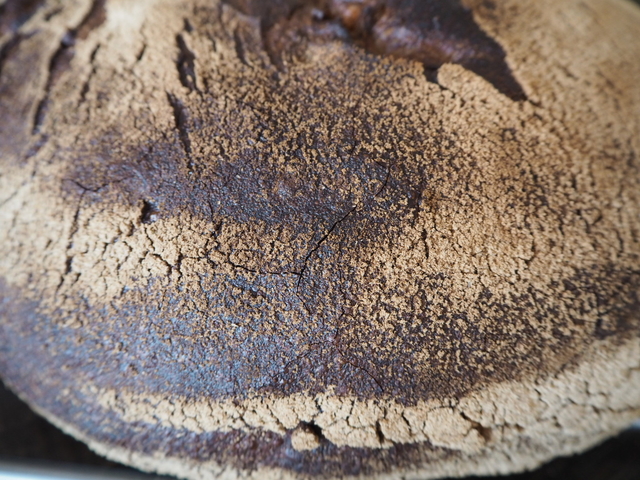 Maronenbrot • Brotbackforum - Die Hobbybäckerei