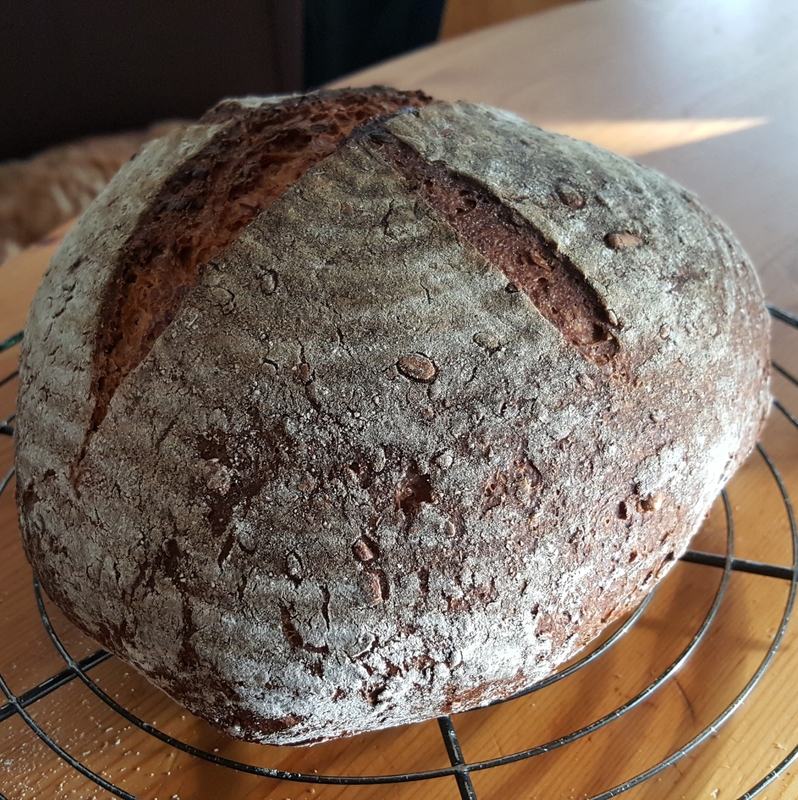 Weizenbrot mit Sauerteig und Vollkornanteil • Brotbackforum - Die ...