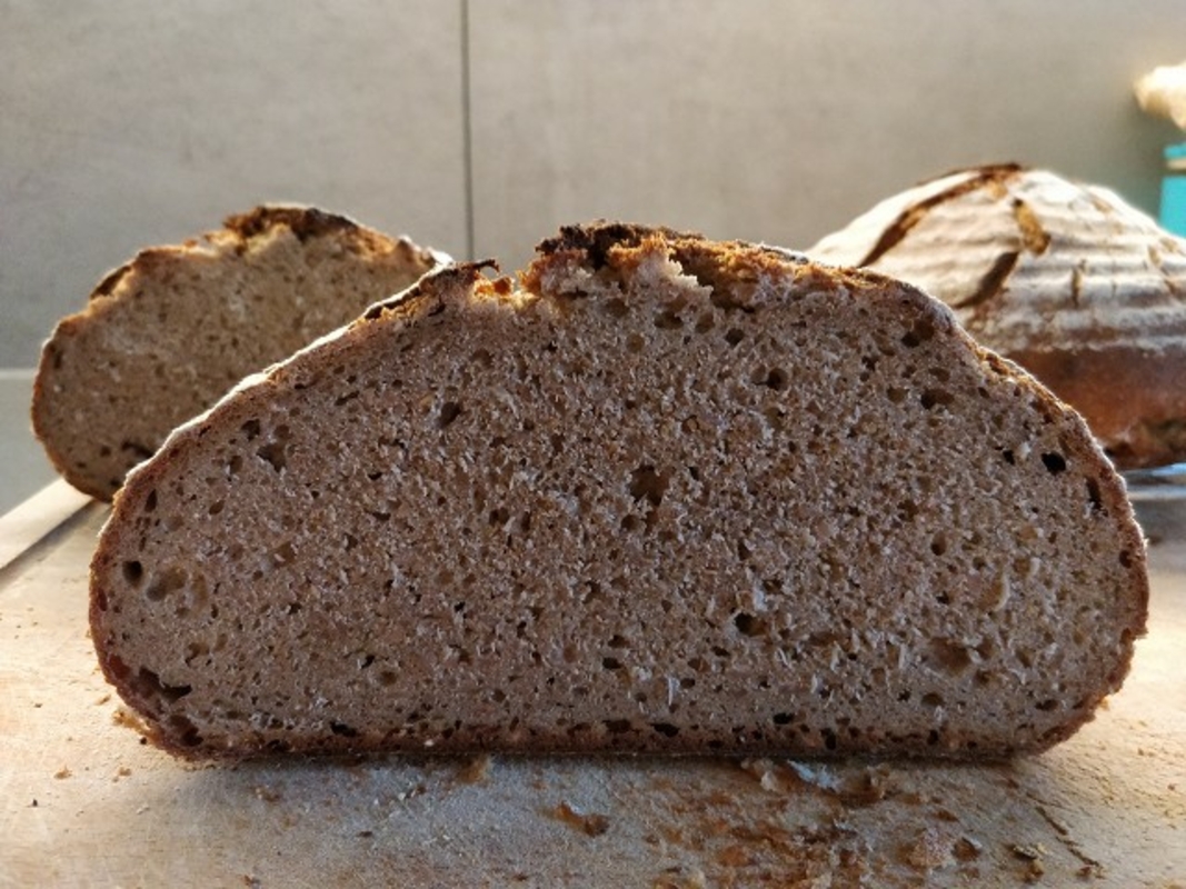 Brotfehler bei Roggenmischbrot ohne Hefe? • Brotbackforum - Die ...
