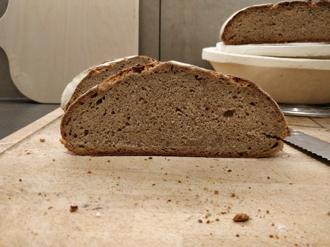 Brotfehler bei Roggenmischbrot ohne Hefe? • Brotbackforum - Die ...