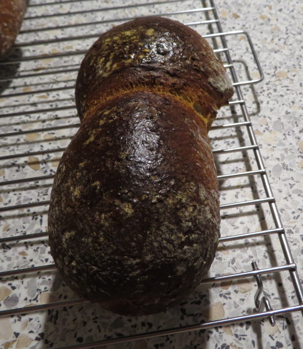 6. Onlinebacken Kölner Röggelchen • Brotbackforum - Die Hobbybäckerei